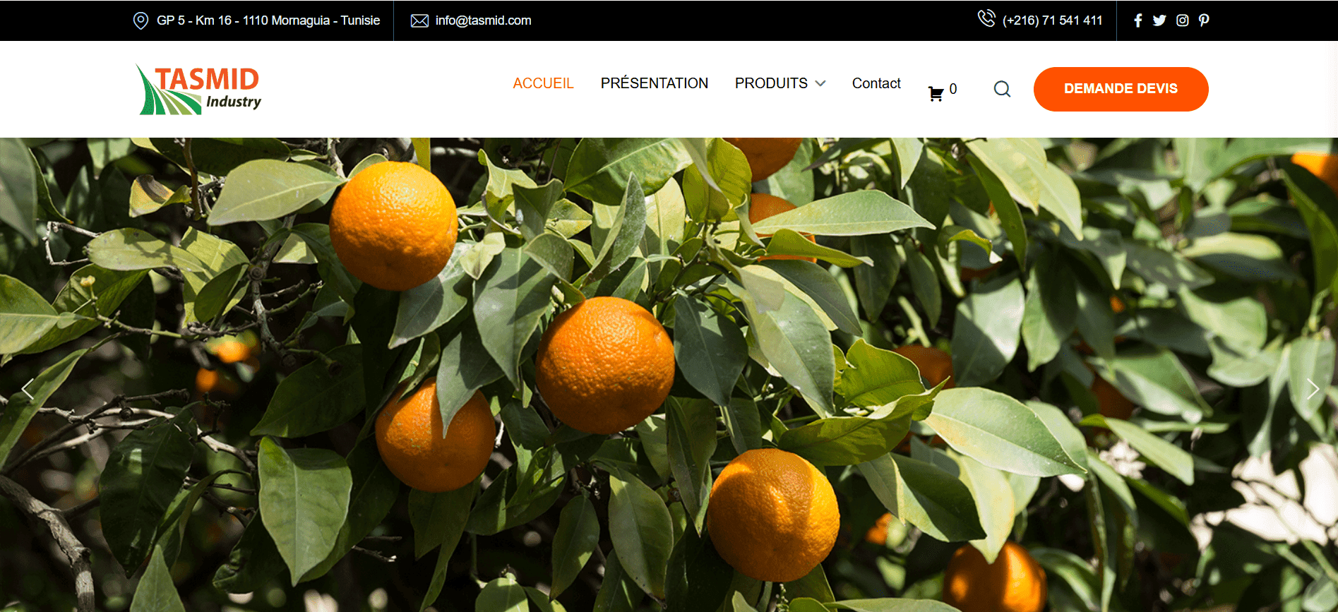 tasmid industry