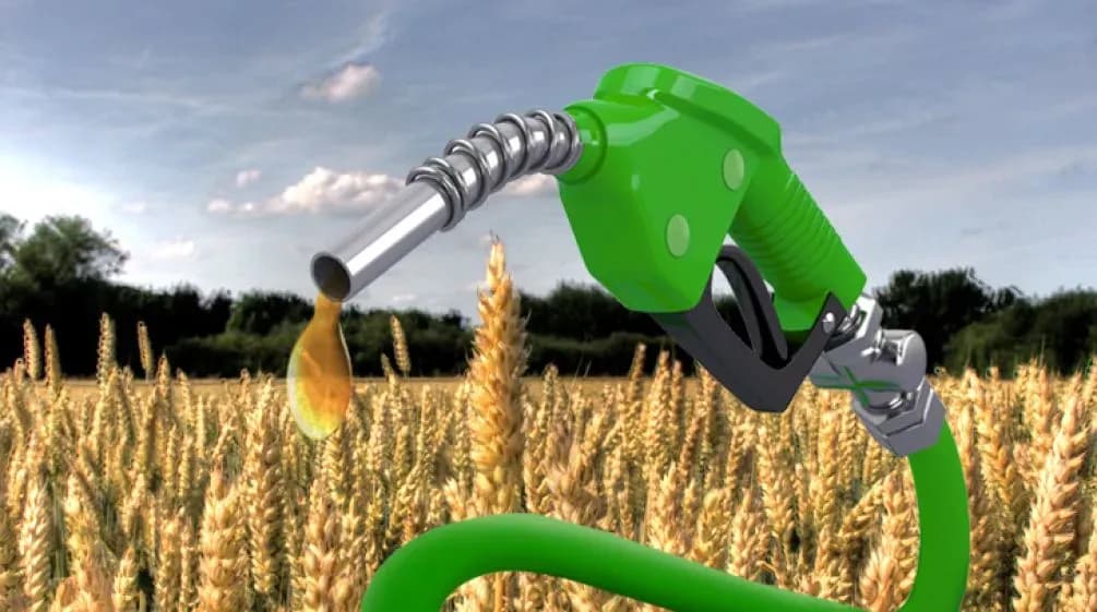 agrocarburants agence de communicqtion tunisie